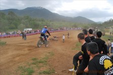 bratindol_1_390_20100531_1649531748