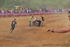 bratindol_1_391_20100531_1485662792