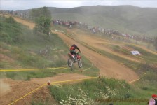 bratindol_1_403_20100531_1353053574