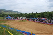 bratindol_1_446_20100531_1774389700