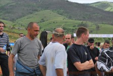 bratindol_1_455_20100531_1806448569