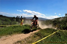 kros_orman_1_133_20100509_1871007443