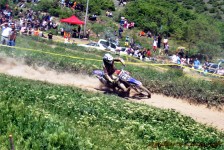 kros_orman_1_176_20100509_1197930804