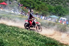kros_orman_1_177_20100509_1557317374