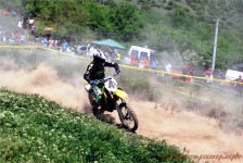 kros_orman_1_178_20100509_1160345566