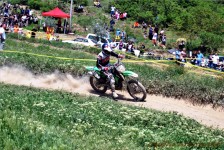 kros_orman_1_180_20100509_1573304653