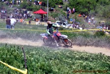 kros_orman_1_182_20100509_1826997000
