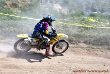 kros_orman_1_187_20100509_1064415797