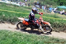 kros_orman_1_193_20100509_1147159425
