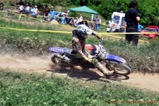 kros_orman_1_203_20100509_1403401612