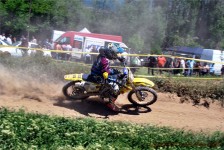 kros_orman_1_211_20100509_1777955308