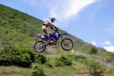 kros_orman_1_260_20100509_1746312434