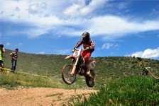 kros_orman_1_280_20100509_1421867952