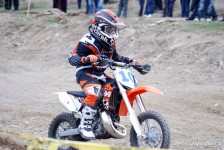 Zabel-2011-135