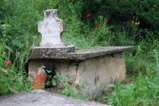 mariovo-2011-351