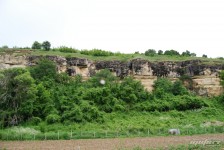 mariovo-2011-352