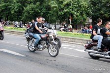 Nokni-Volci-2011-106