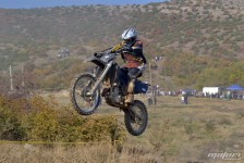 orman-2011-141