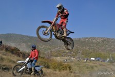 orman-2011-142