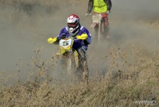 orman-2011-161