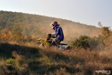 orman-2011-164