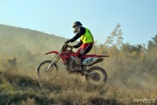 orman-2011-165