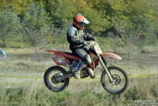 orman-2011-176