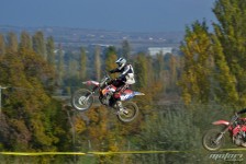 orman-2011-212