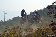 orman-2011-216