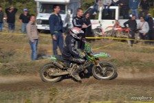 orman-2011-223