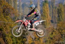 orman-2011-241