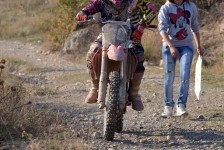 orman-2011-281
