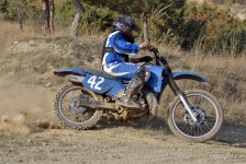orman-2011-79