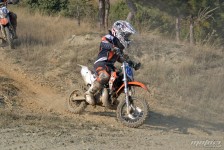 orman-2011-81