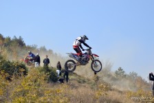 orman-2011-84
