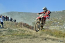 orman-2011-93