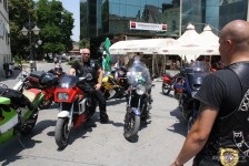 konzuli-2012-51