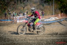 МХ Орман 2019