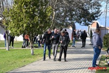 pelenica