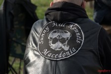 Bike Meet and Food Festival