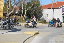 retki_ptici-106