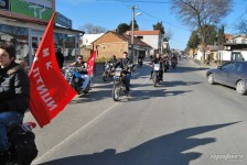 retki_ptici-109