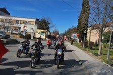 retki_ptici-112