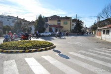 retki_ptici-114