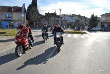 retki_ptici-115