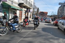 retki_ptici-116