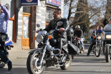 retki_ptici-119