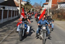 retki_ptici-48