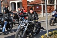 retki_ptici-56