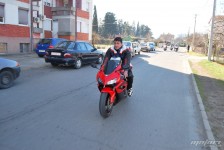 retki_ptici-73